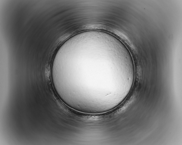 X0000094770841200711301524