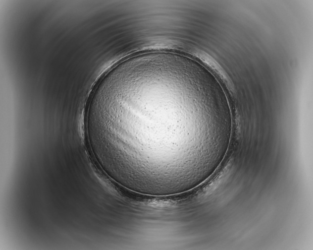 X0000094770842200711301524