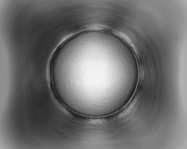 X0000094770843200711301524