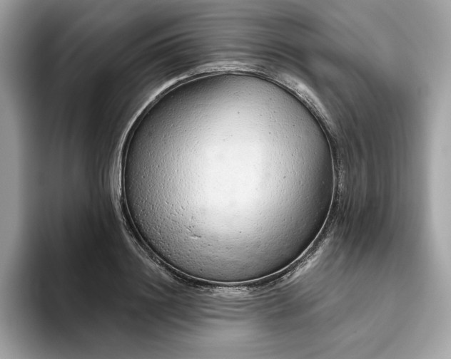 X0000094770844200711301524