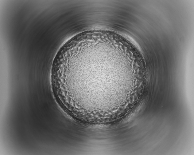 X0000094770847200711301524