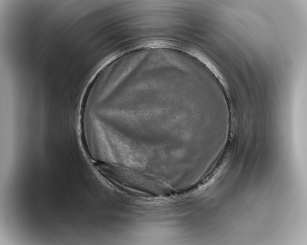 X0000094770853200711301524