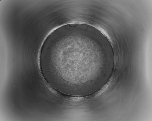 X0000094770854200711301524