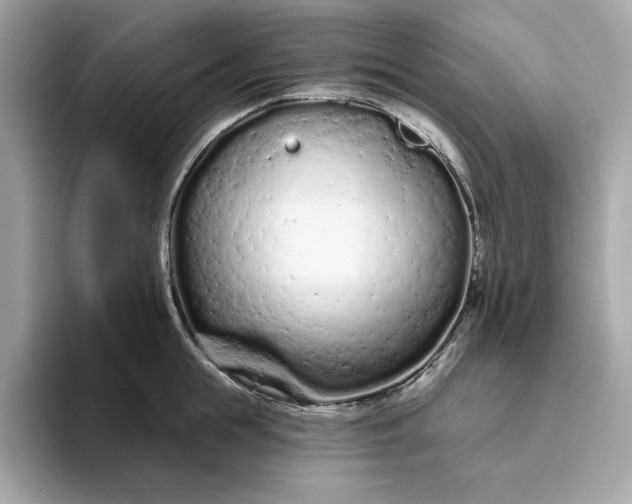 X0000094770855200711301524