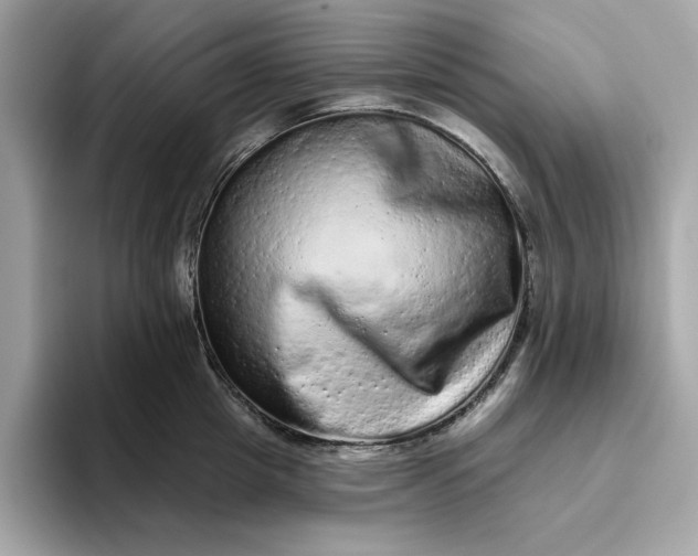 X0000094770857200711301525