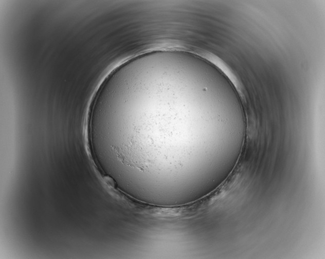 X0000094770861200711301525