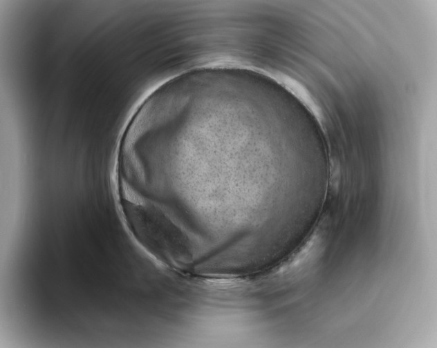 X0000094770863200711301525