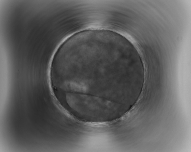 X0000094770864200711301525