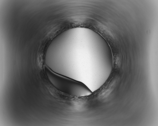 X0000094770868200711301524