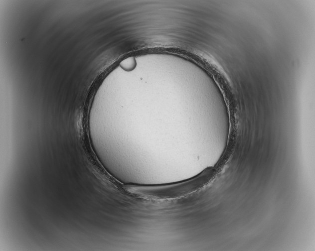 X0000094770873200711301524