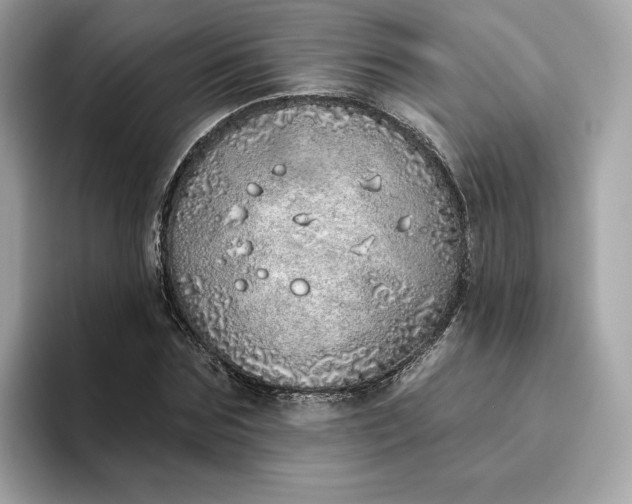 X0000094770875200711301524