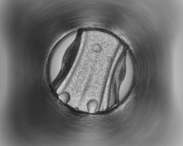 X0000094770877200711301524