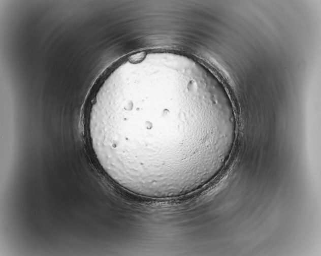 X0000094770883200711301524