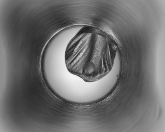 X0000094770884200711301524