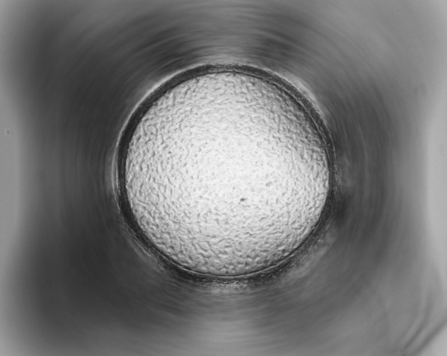 X0000094770887200711301524