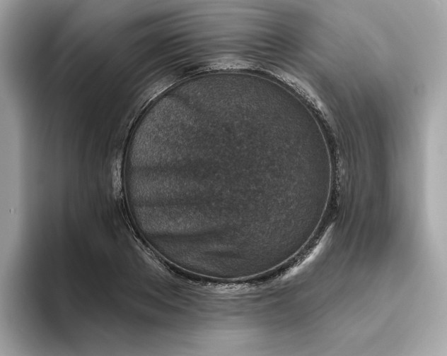 X0000094770889200711301524