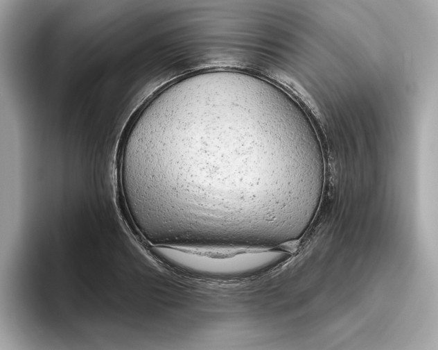 X0000094770890200711301524