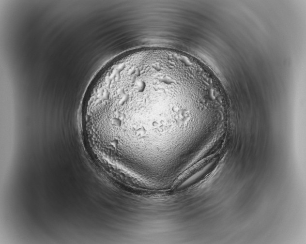 X0000094770891200711301524