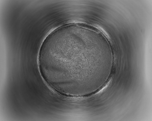 X0000094770893200711301524