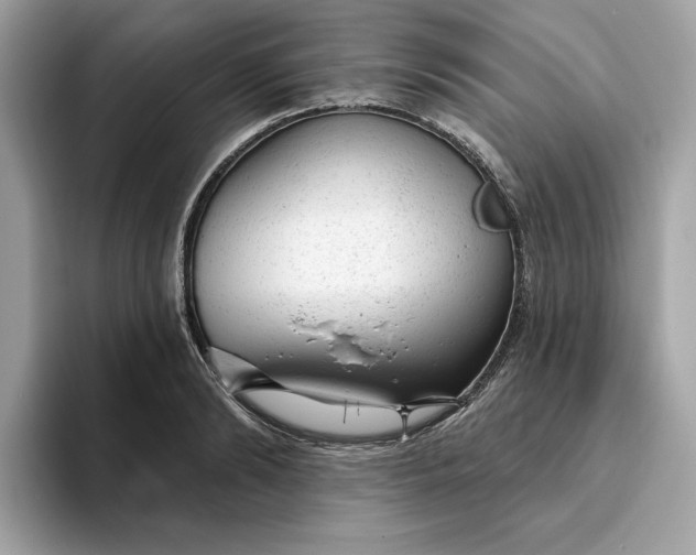 X0000094770894200711301524