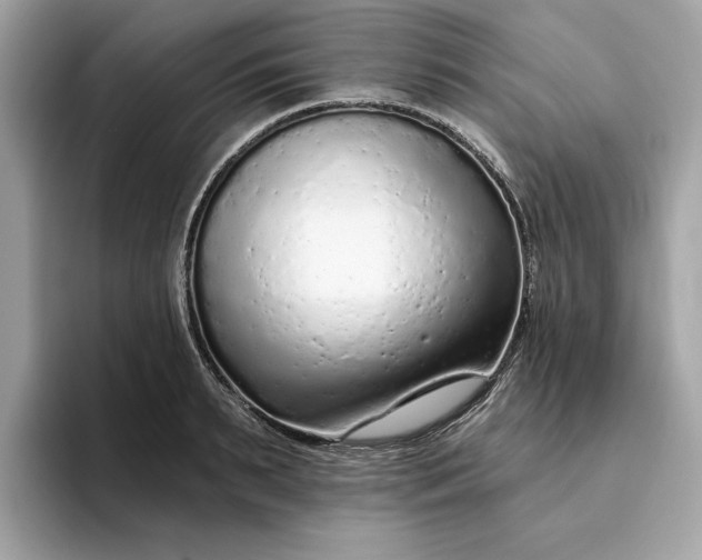 X0000094770895200711301524