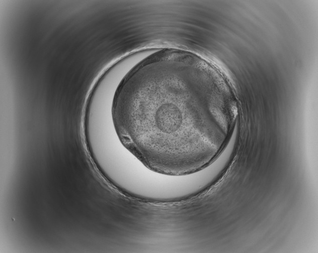 X0000094770896200711301524