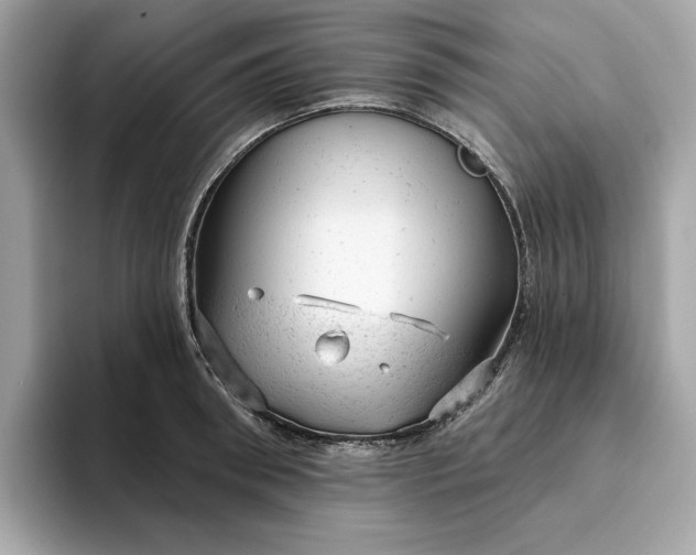 X0000094770898200711301524