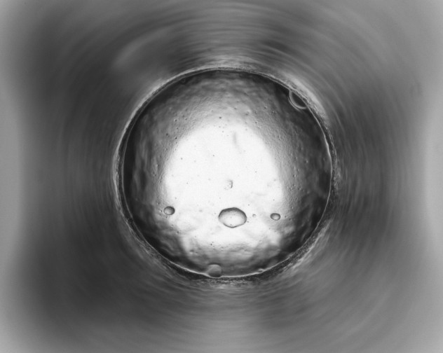 X0000094770899200711301524