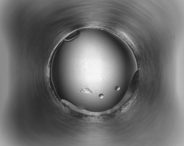 X0000094770900200711301524