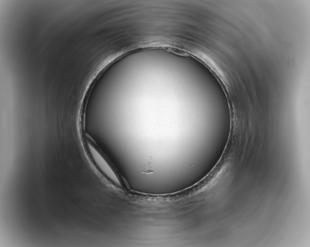 X0000094770901200711301524