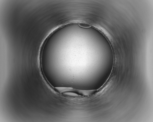 X0000094770902200711301523