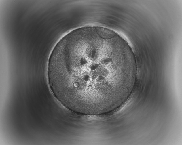 X0000094770903200711301523