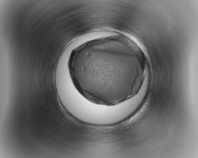 X0000094770905200711301523