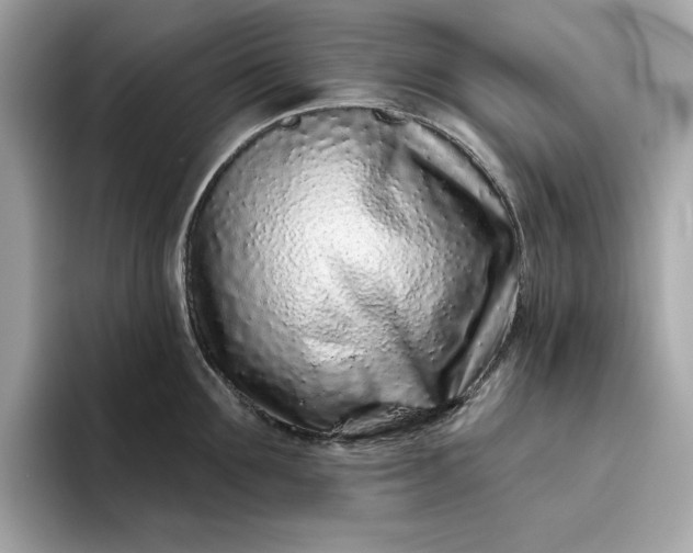 X0000094770907200711301523