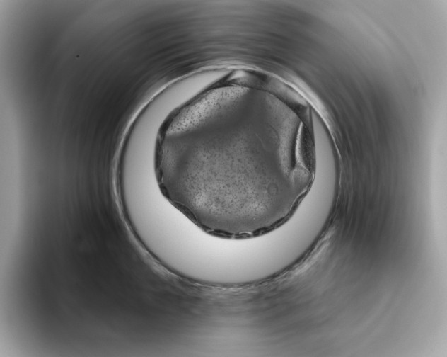 X0000094770909200711301523