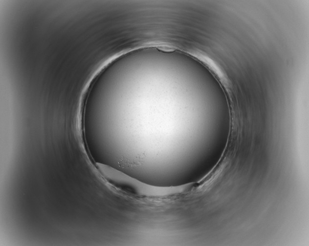 X0000094770910200711301523