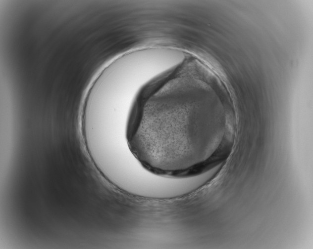 X0000094770912200711301523