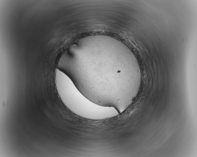 X0000094770916200711301523