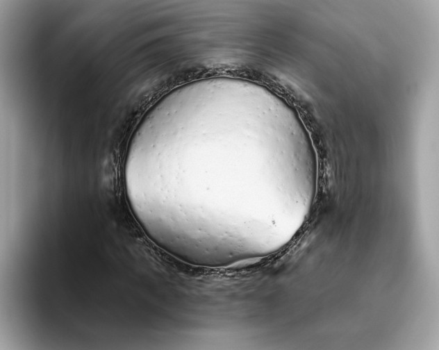 X0000094770917200711301523