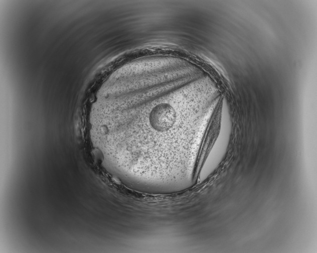 X0000094770920200711301523