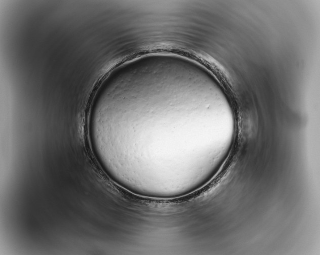 X0000094770921200711301523