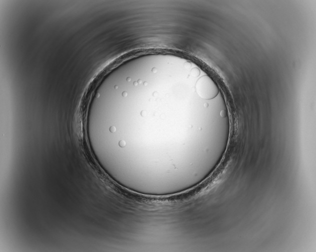 X0000094770925200711301523