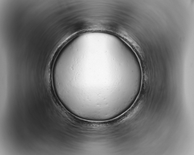 X0000094770933200711301523