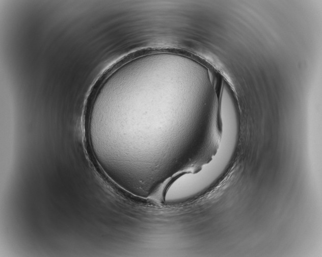 X0000094770935200711301523