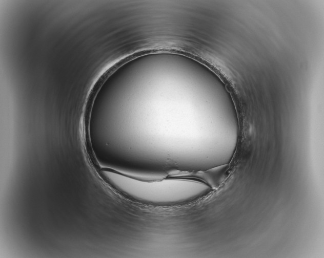 X0000094770936200711301523