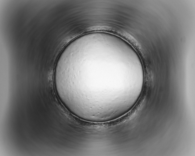 X0000094770937200711301523