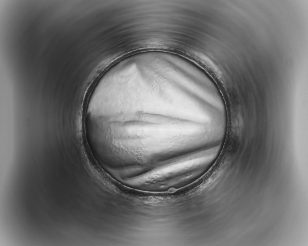 X0000094770938200711301523