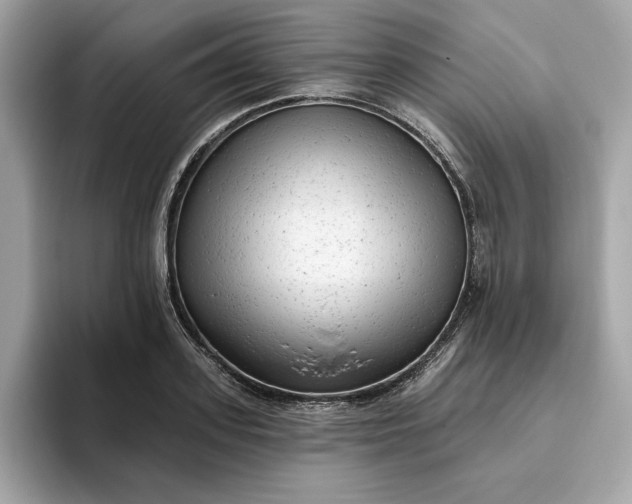 X0000094770939200711301523