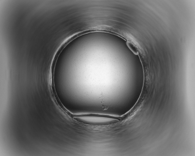 X0000094770940200711301523