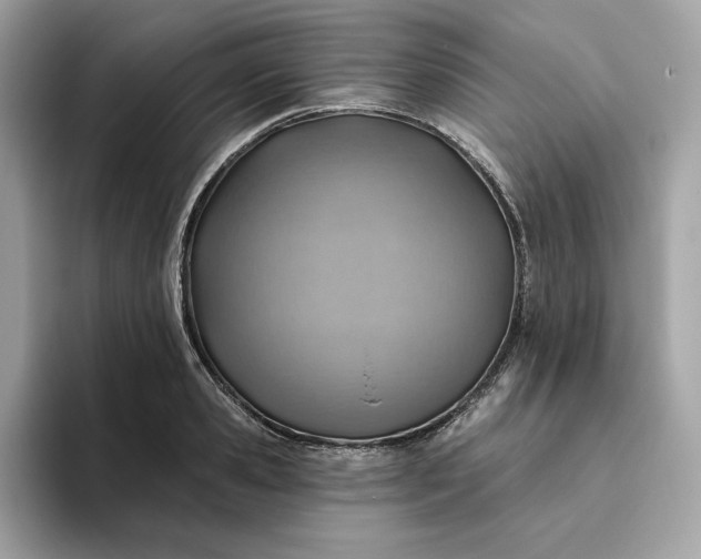 X0000094770941200711301523